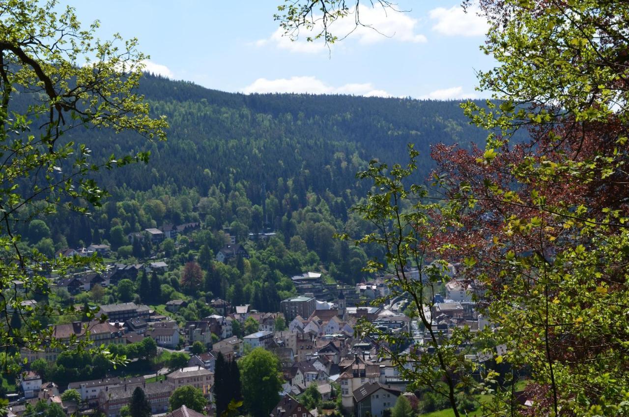 Ferienwohnung Am Kurpark Bad Wildbad Exterior photo